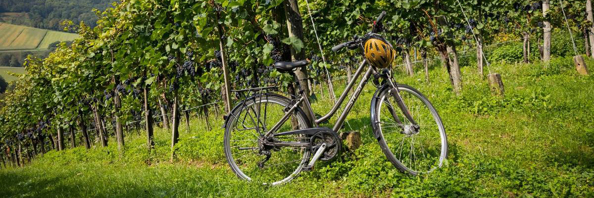 Radfahren // Radwege