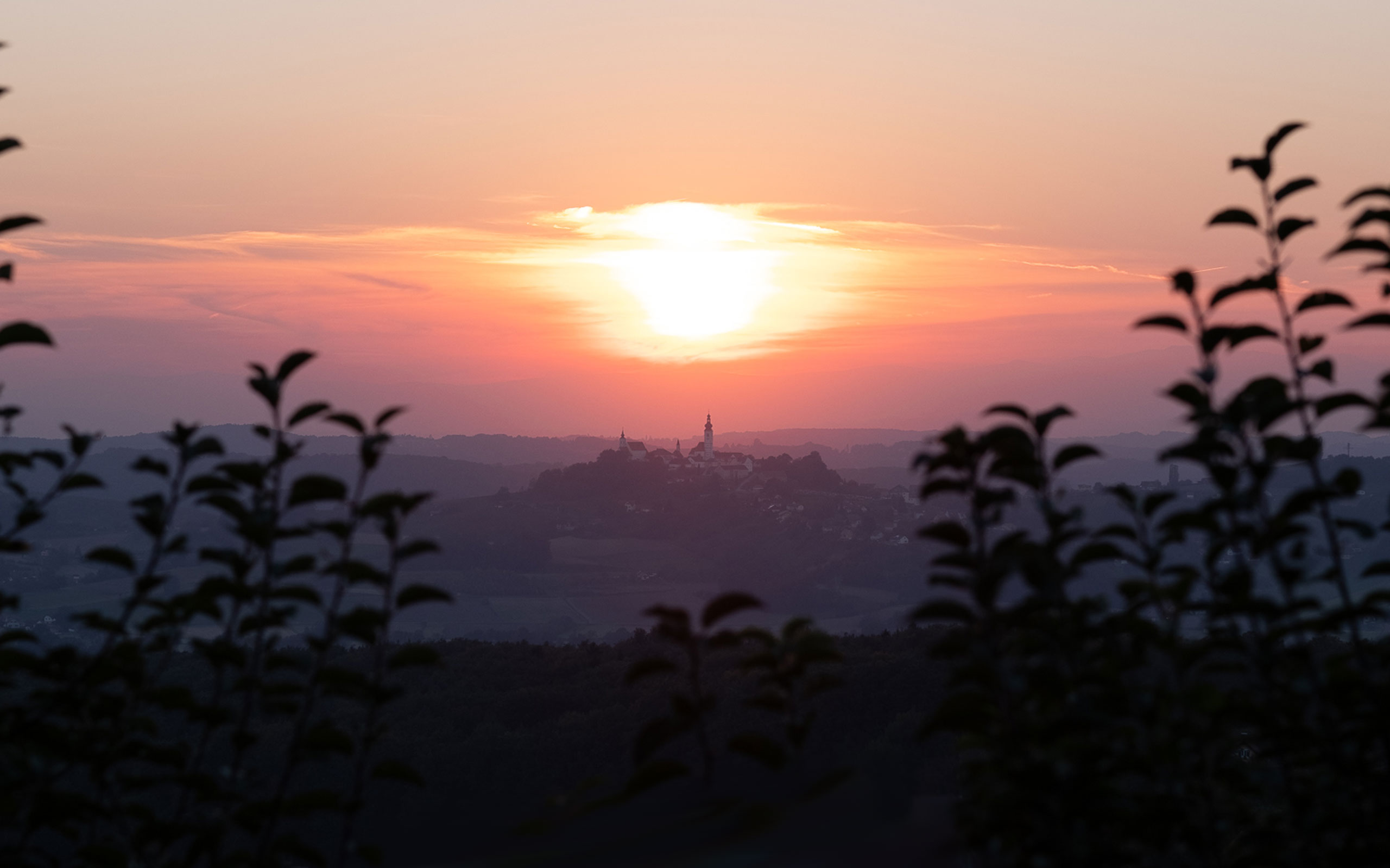 Wartberg an der krems partnervermittlung umgebung. Partnersuche mit Singles umgebung straden. Partnersuche Single umgebung aus attnang-puchheim. Single date wilfersdorf: Private partnervermittlung aus untere